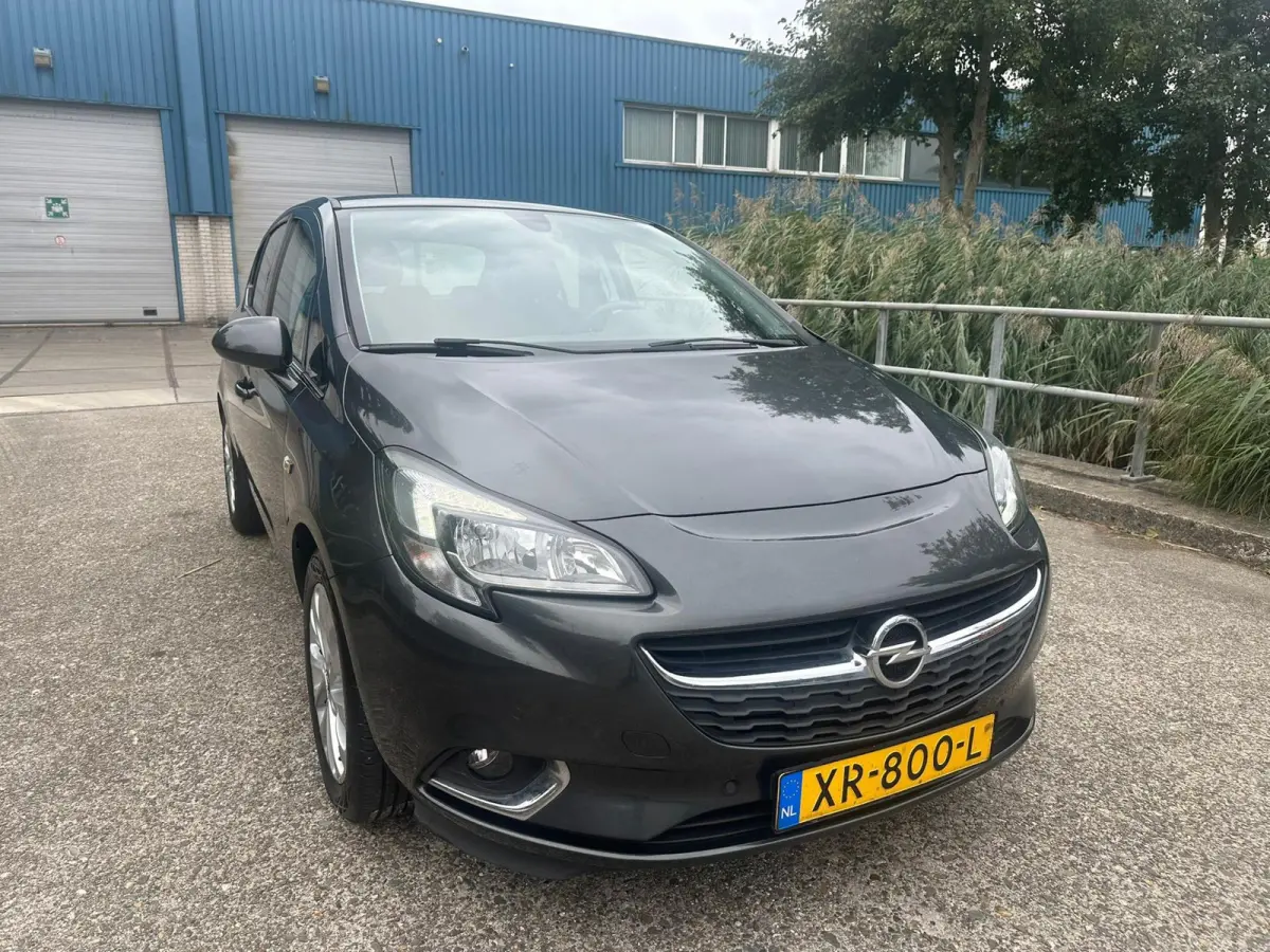 1.0 Turbo Online Edition Navi Camera! PDC Clima! Nette auto!