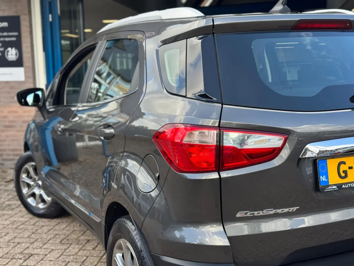 1.0 EcoBoost Titanium 2019 NAVI CLIMA NAP BTW!