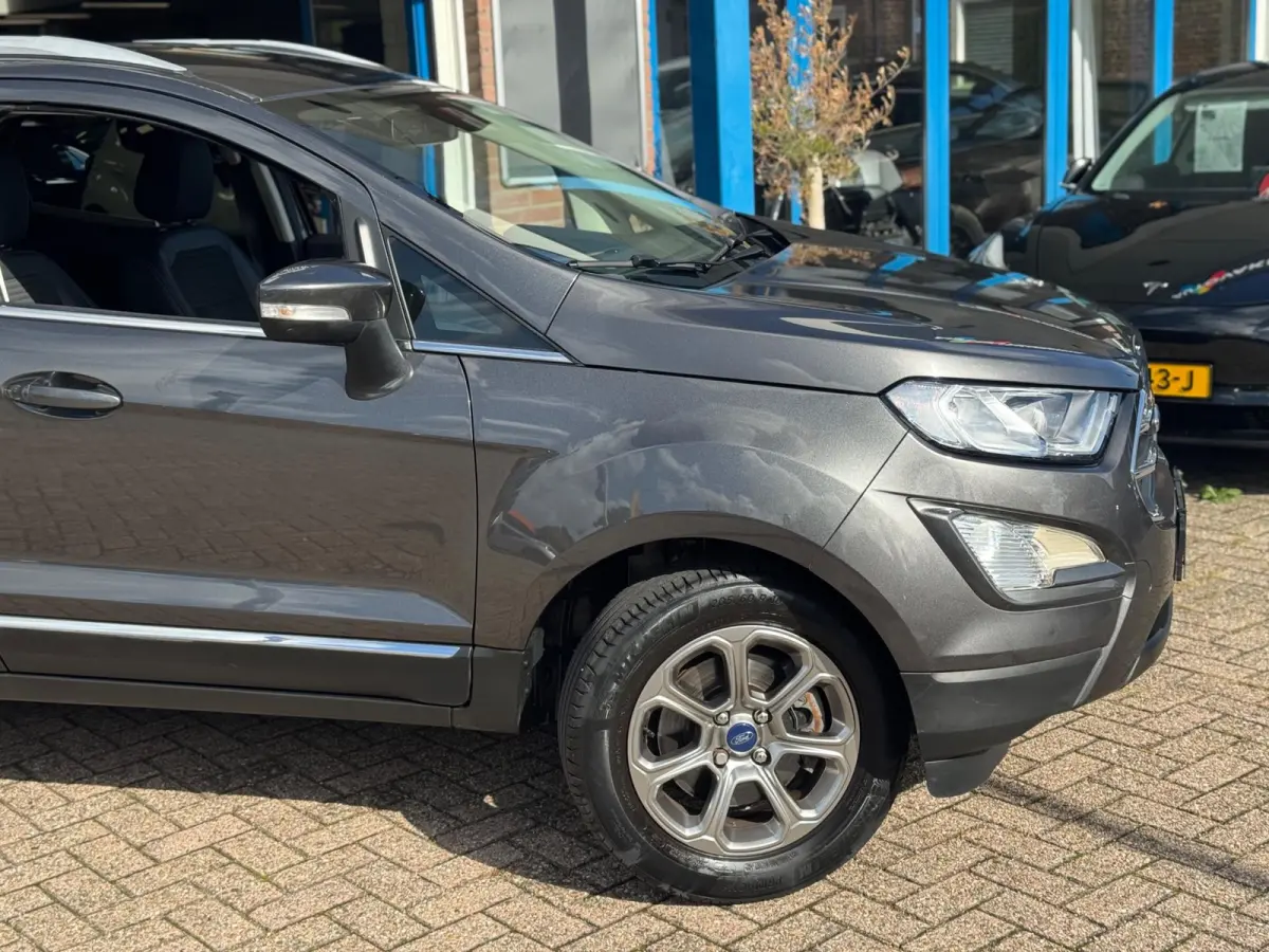 1.0 EcoBoost Titanium 2019 NAVI CLIMA NAP BTW!