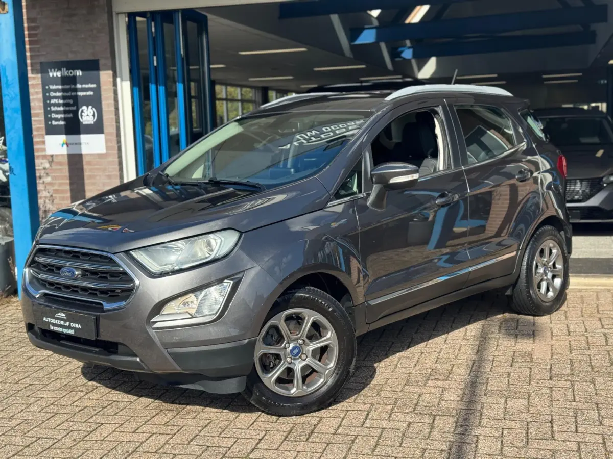 1.0 EcoBoost Titanium 2019 NAVI CLIMA NAP BTW!
