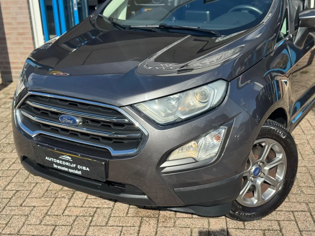 1.0 EcoBoost Titanium 2019 NAVI CLIMA NAP BTW!