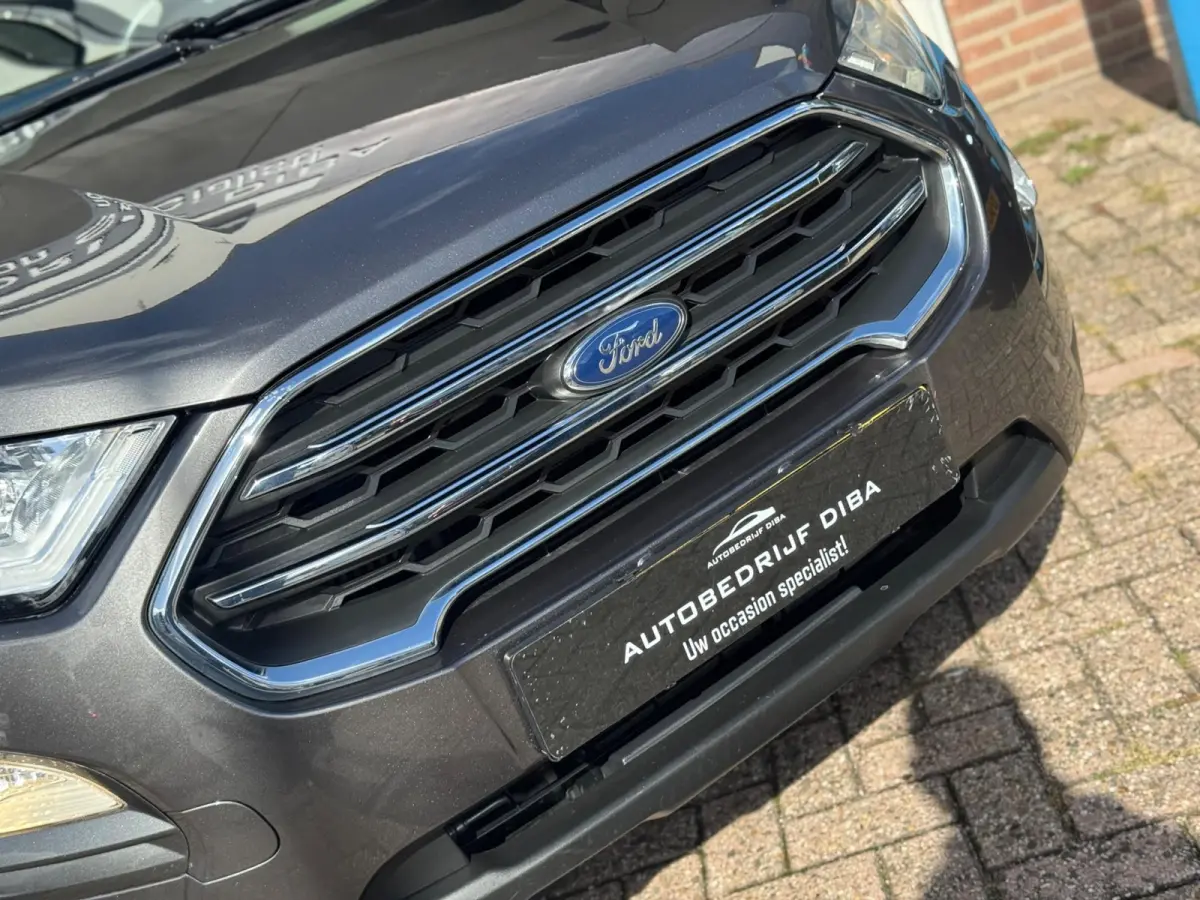 1.0 EcoBoost Titanium 2019 NAVI CLIMA NAP BTW!