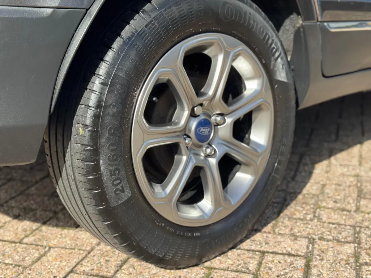 1.0 EcoBoost Titanium 2019 NAVI CLIMA NAP BTW!