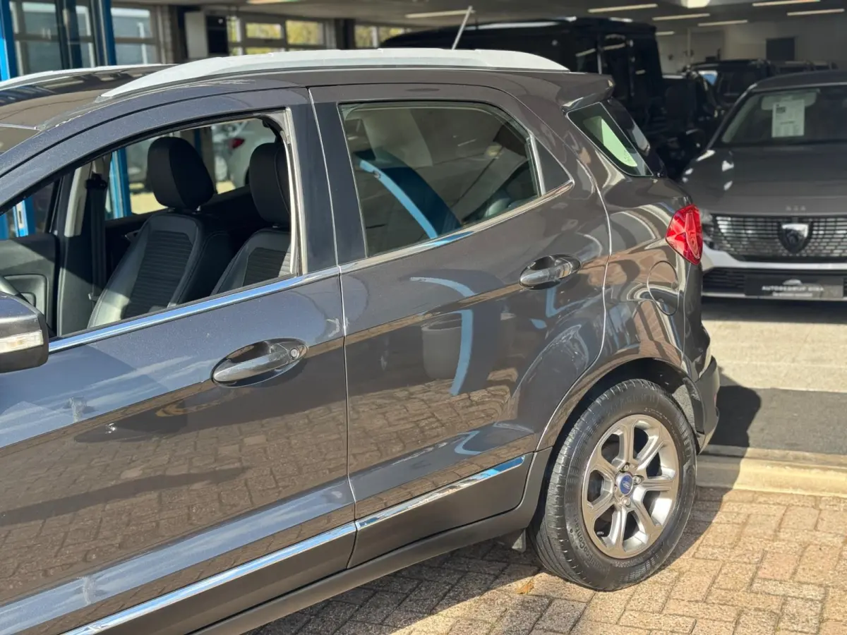 1.0 EcoBoost Titanium 2019 NAVI CLIMA NAP BTW!