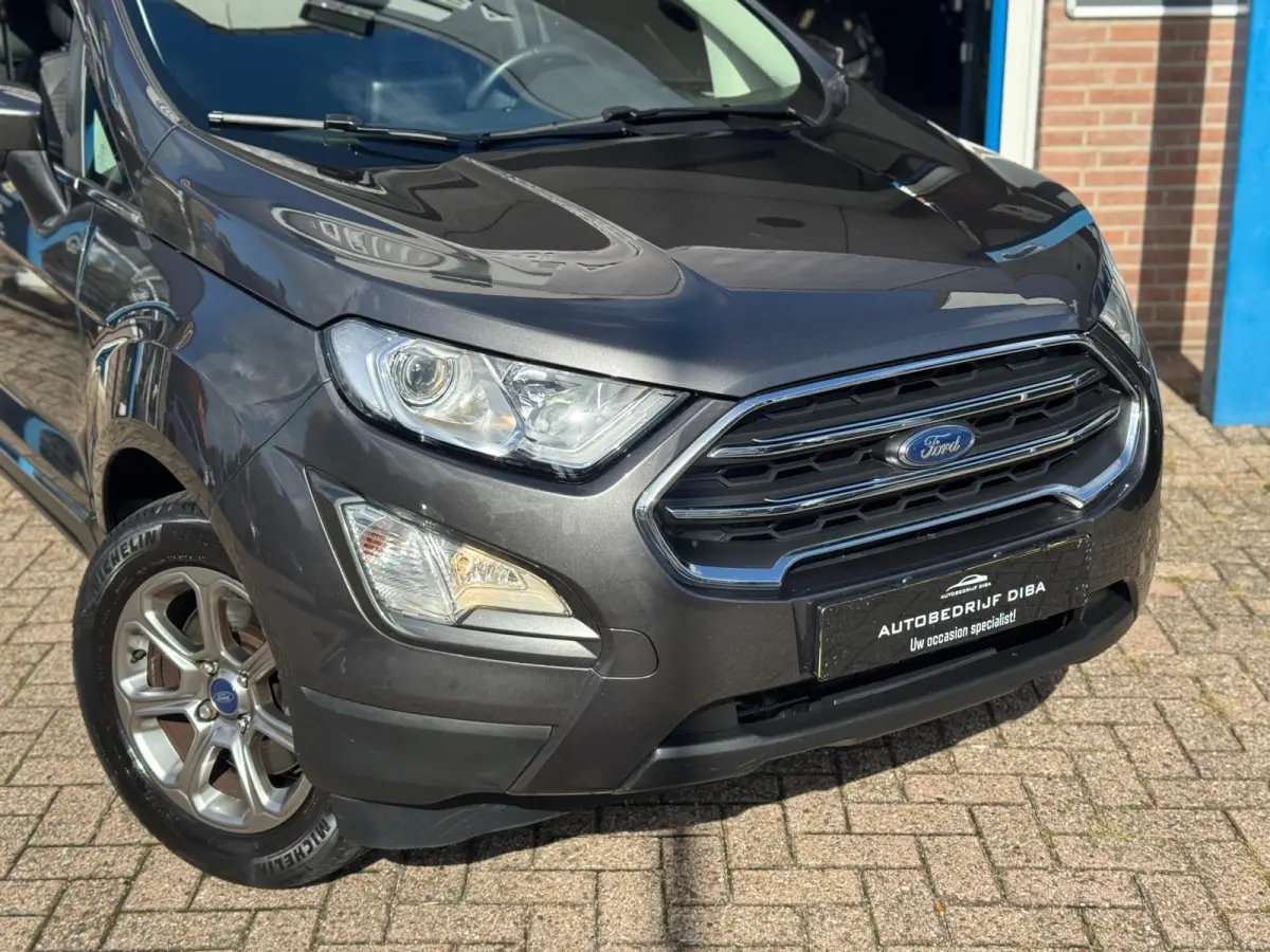 1.0 EcoBoost Titanium 2019 NAVI CLIMA NAP BTW!