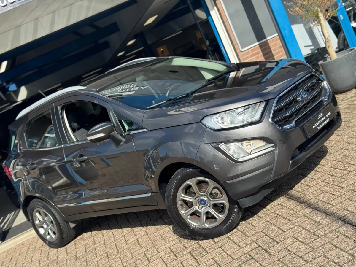 1.0 EcoBoost Titanium 2019 NAVI CLIMA NAP BTW!