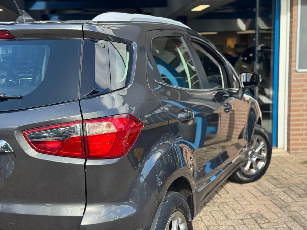 1.0 EcoBoost Titanium 2019 NAVI CLIMA NAP BTW!