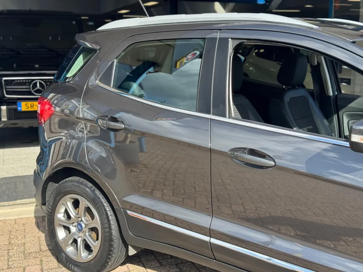 1.0 EcoBoost Titanium 2019 NAVI CLIMA NAP BTW!