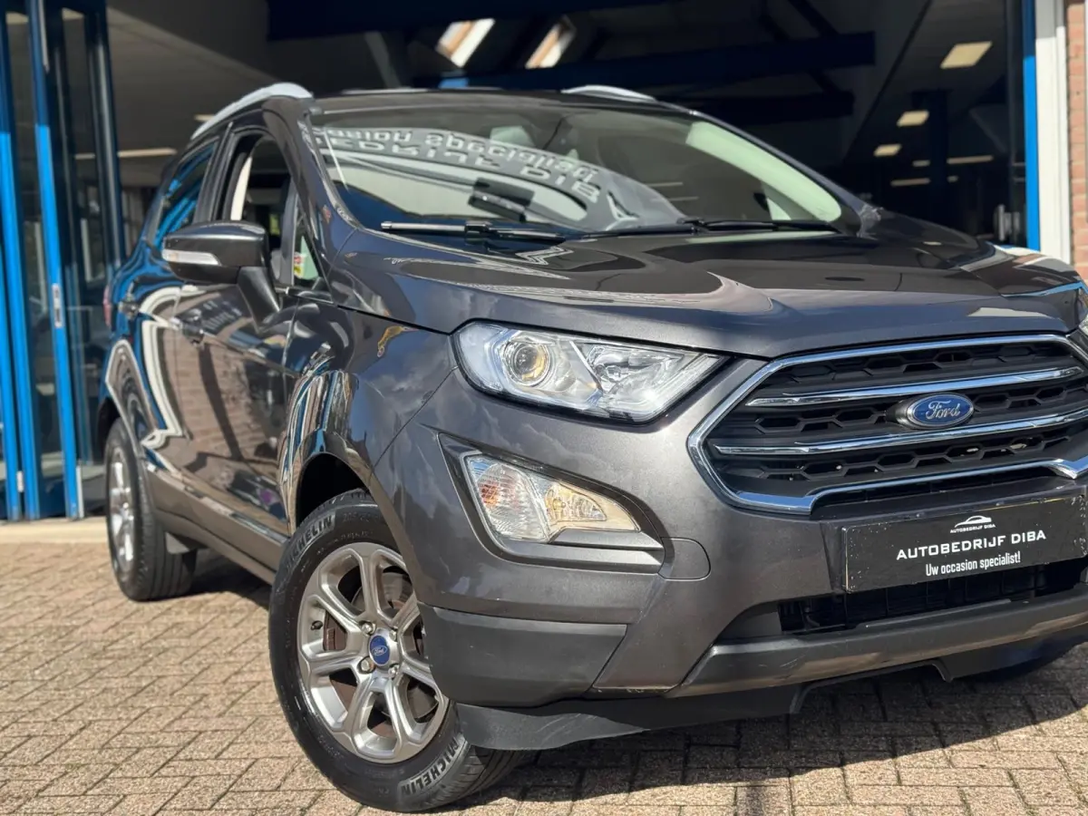 1.0 EcoBoost Titanium 2019 NAVI CLIMA NAP BTW!