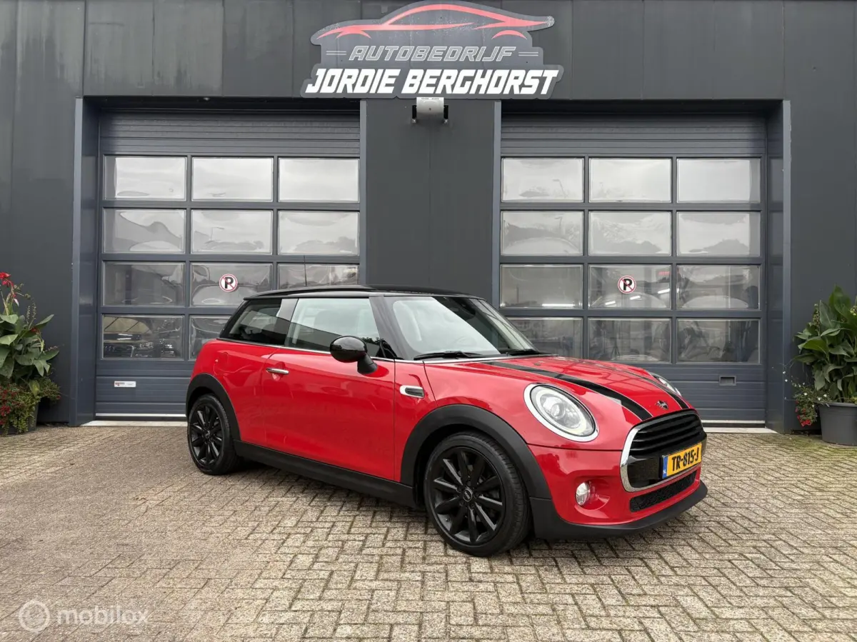 Mini 1.5 Chili Automaat