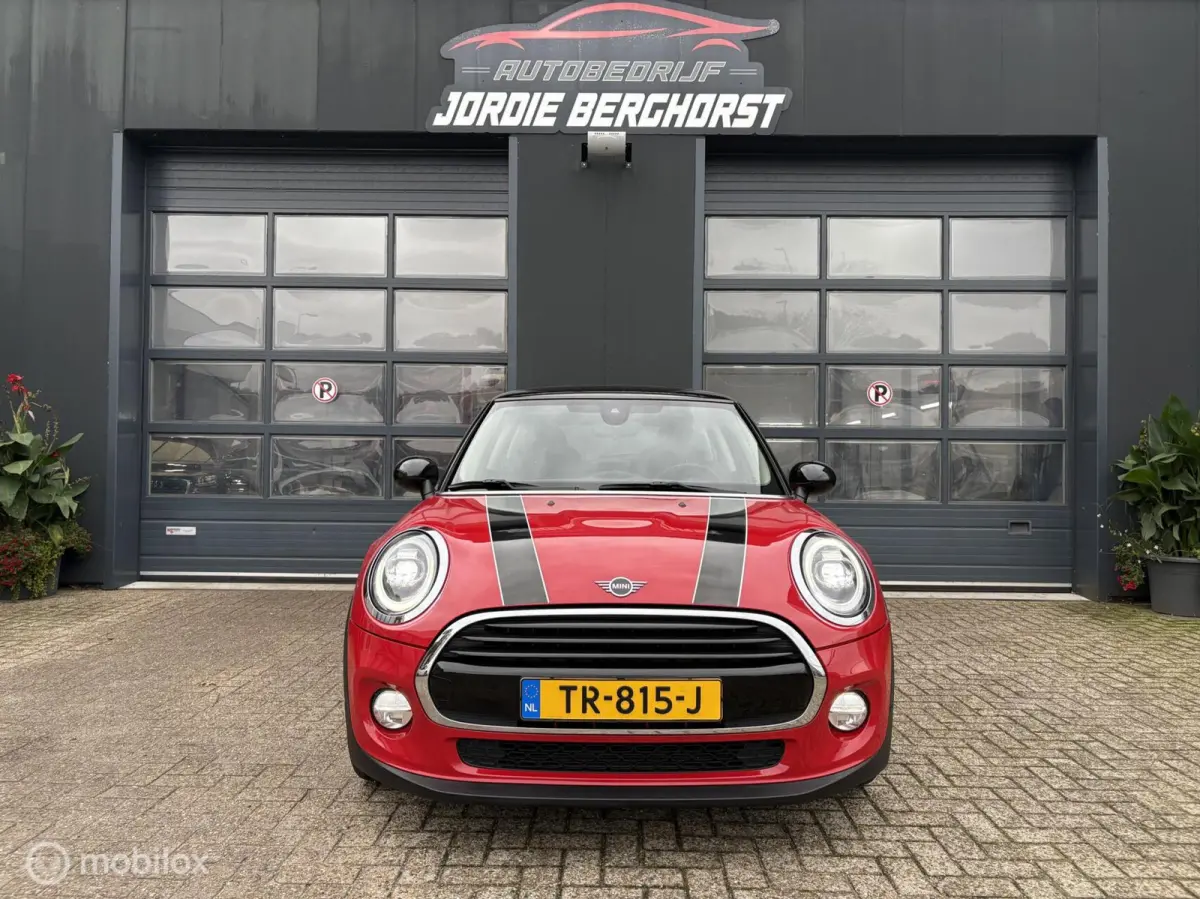 Mini 1.5 Chili Automaat