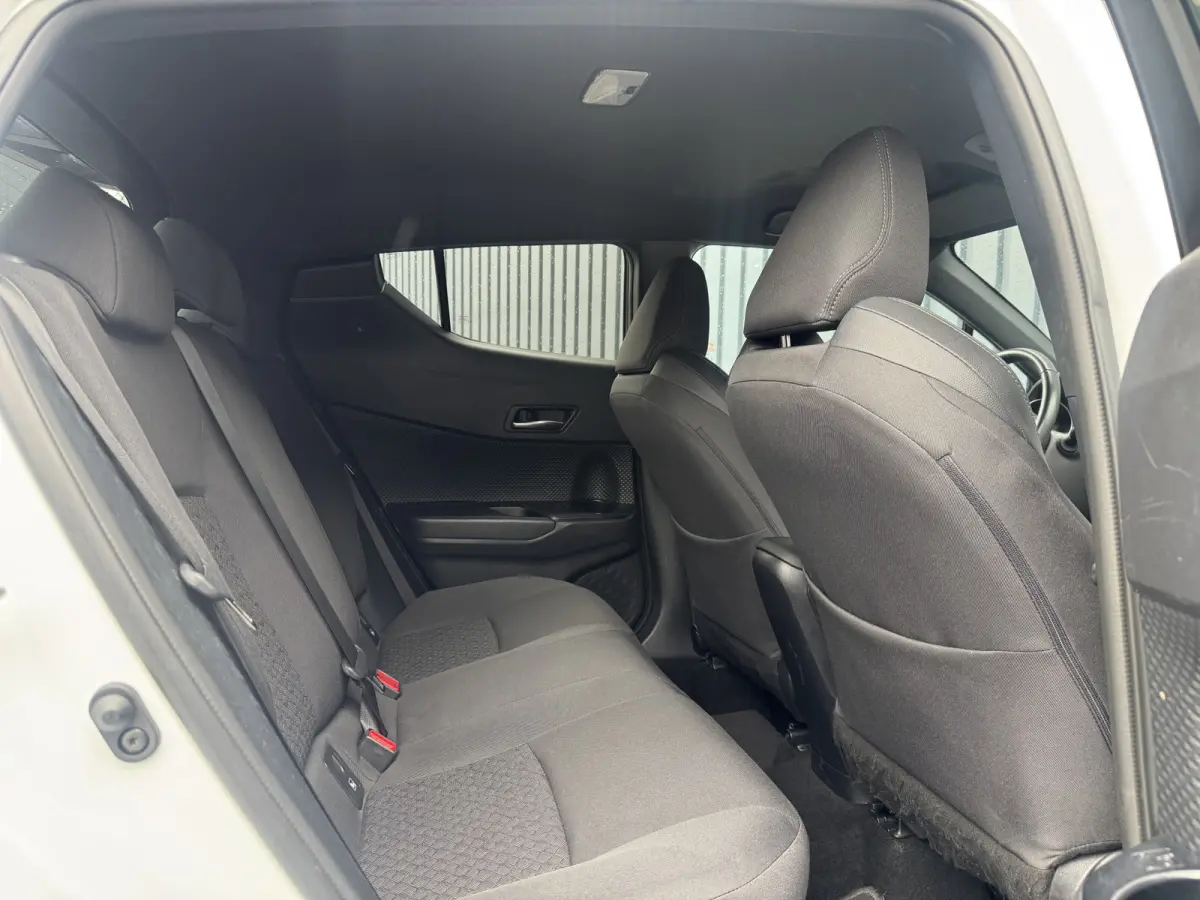 2.0 Hybrid Bi-Tone | Draadloos Apple Carplay/Android auto | PDC V+A | BSM | 10jr GARANTIE | Rijklaar!!!
