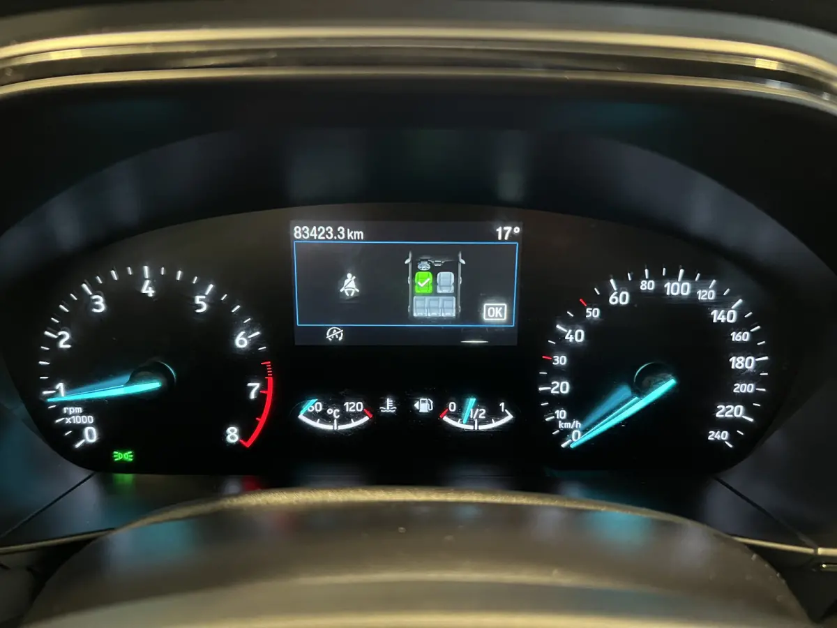 1.0 EcoBoost Hybrid ST Line | Navigatie/Android/Apple Carplay | LM Velgen 17" | Parkeersensoren Voor en Achter | Cruise Control | Airco |