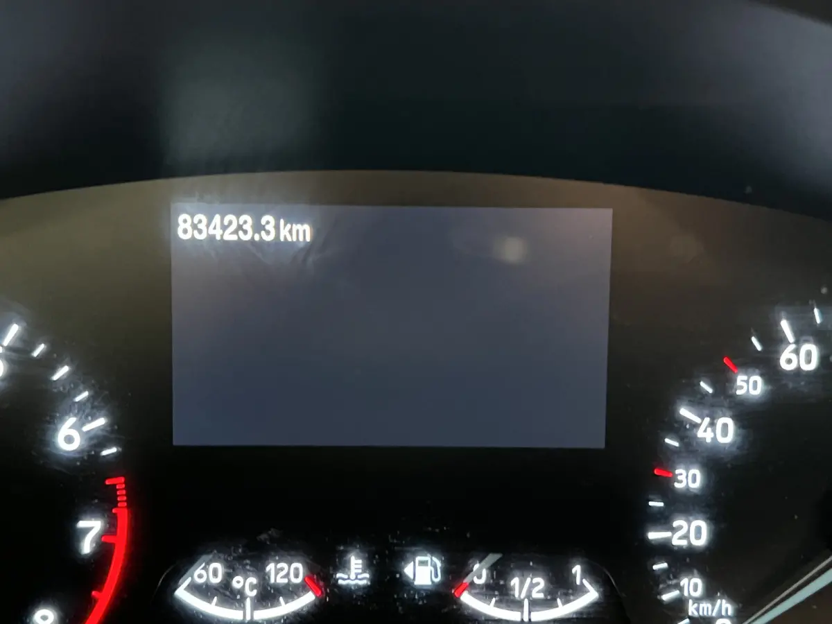 1.0 EcoBoost Hybrid ST Line | Navigatie/Android/Apple Carplay | LM Velgen 17" | Parkeersensoren Voor en Achter | Cruise Control | Airco |