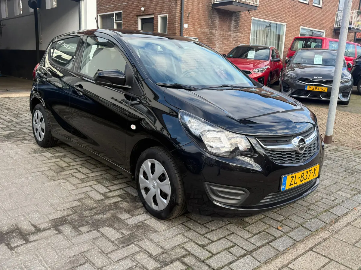1.0 ecoFLEX 120 Jaar Edition, Cruise control,Airco,Bluetooth telefoonvoorbereiding,Stuurbekrachtiging