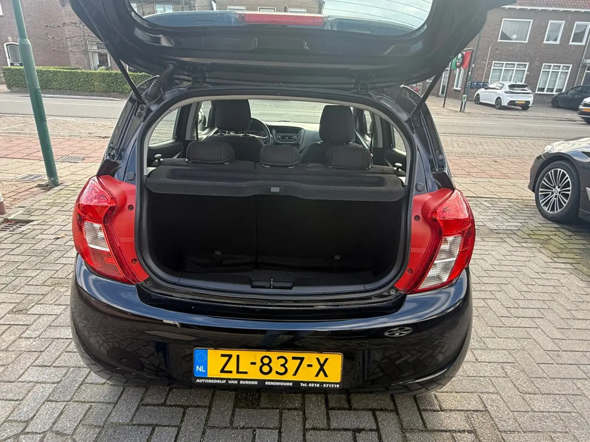 1.0 ecoFLEX 120 Jaar Edition, Cruise control,Airco,Bluetooth telefoonvoorbereiding,Stuurbekrachtiging