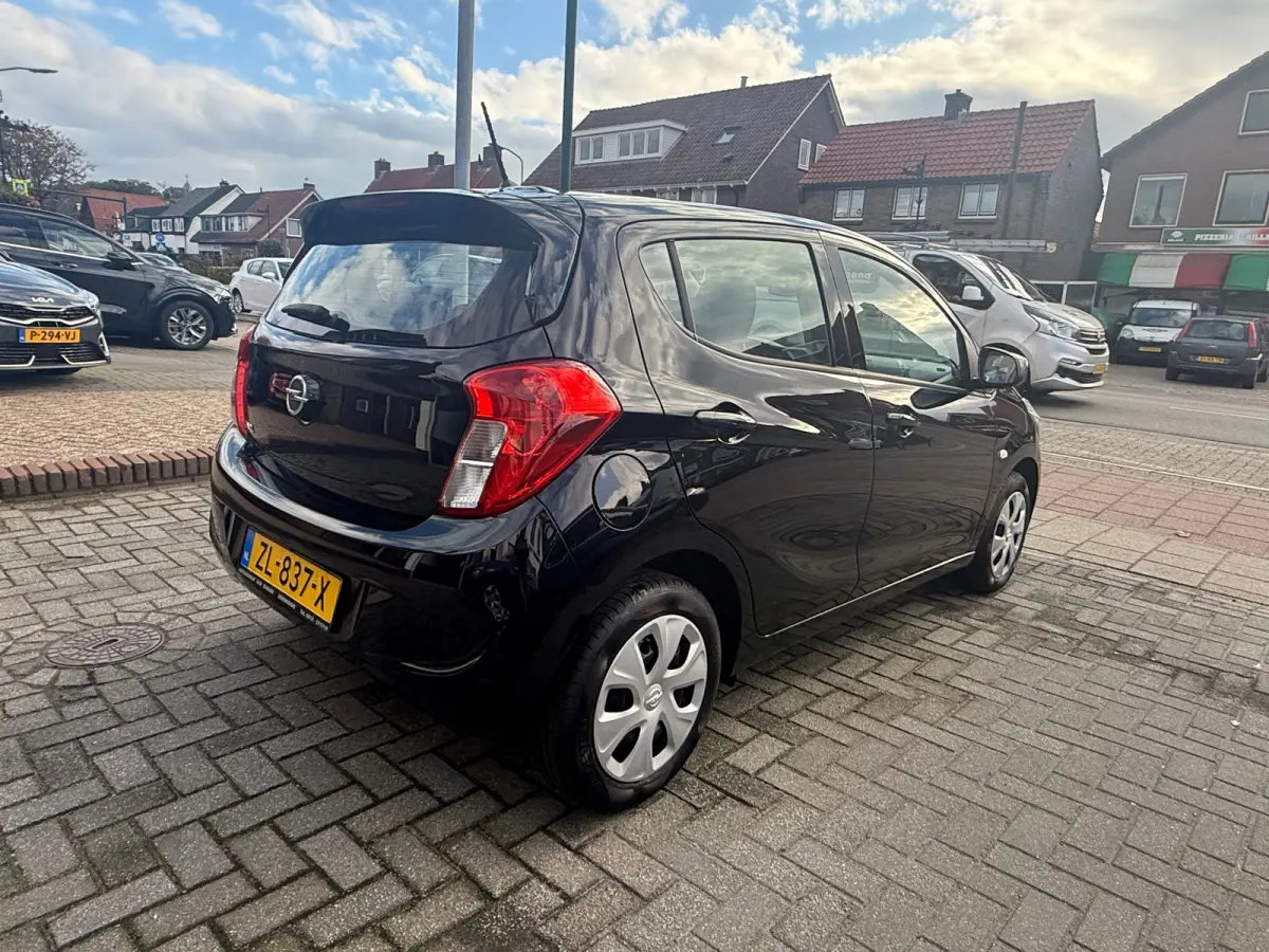 1.0 ecoFLEX 120 Jaar Edition, Cruise control,Airco,Bluetooth telefoonvoorbereiding,Stuurbekrachtiging