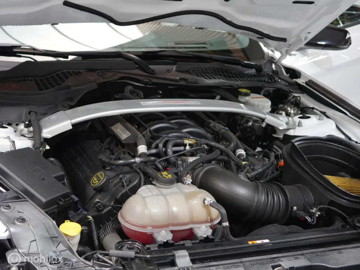 Shelby GT350 2019 | 5.2 V8 | 533 pk | Uniek
