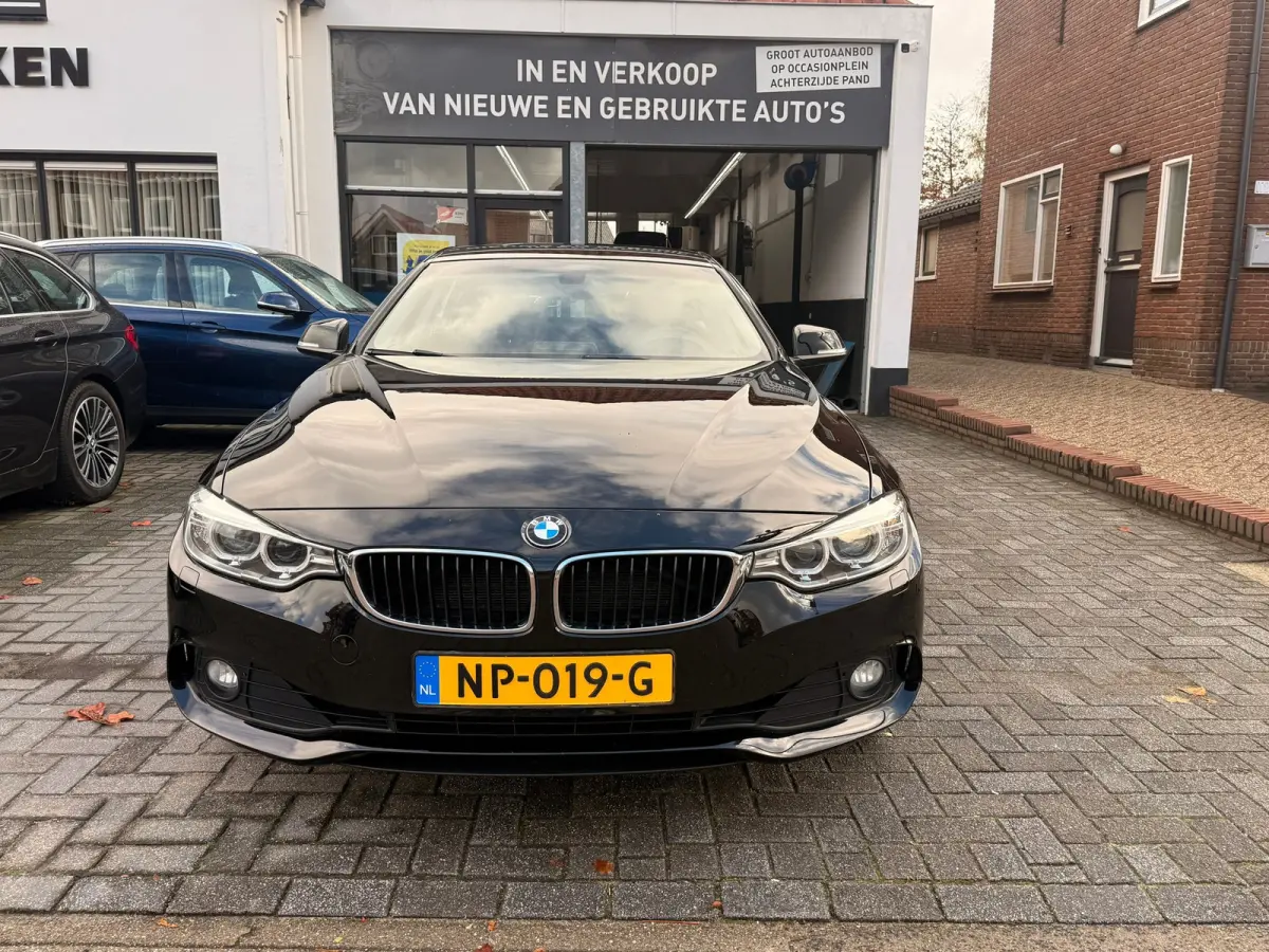 420i Centennial Executive,Trekhaak,L.M.Velgen,Navigatie,Climate control,/Cruise control
