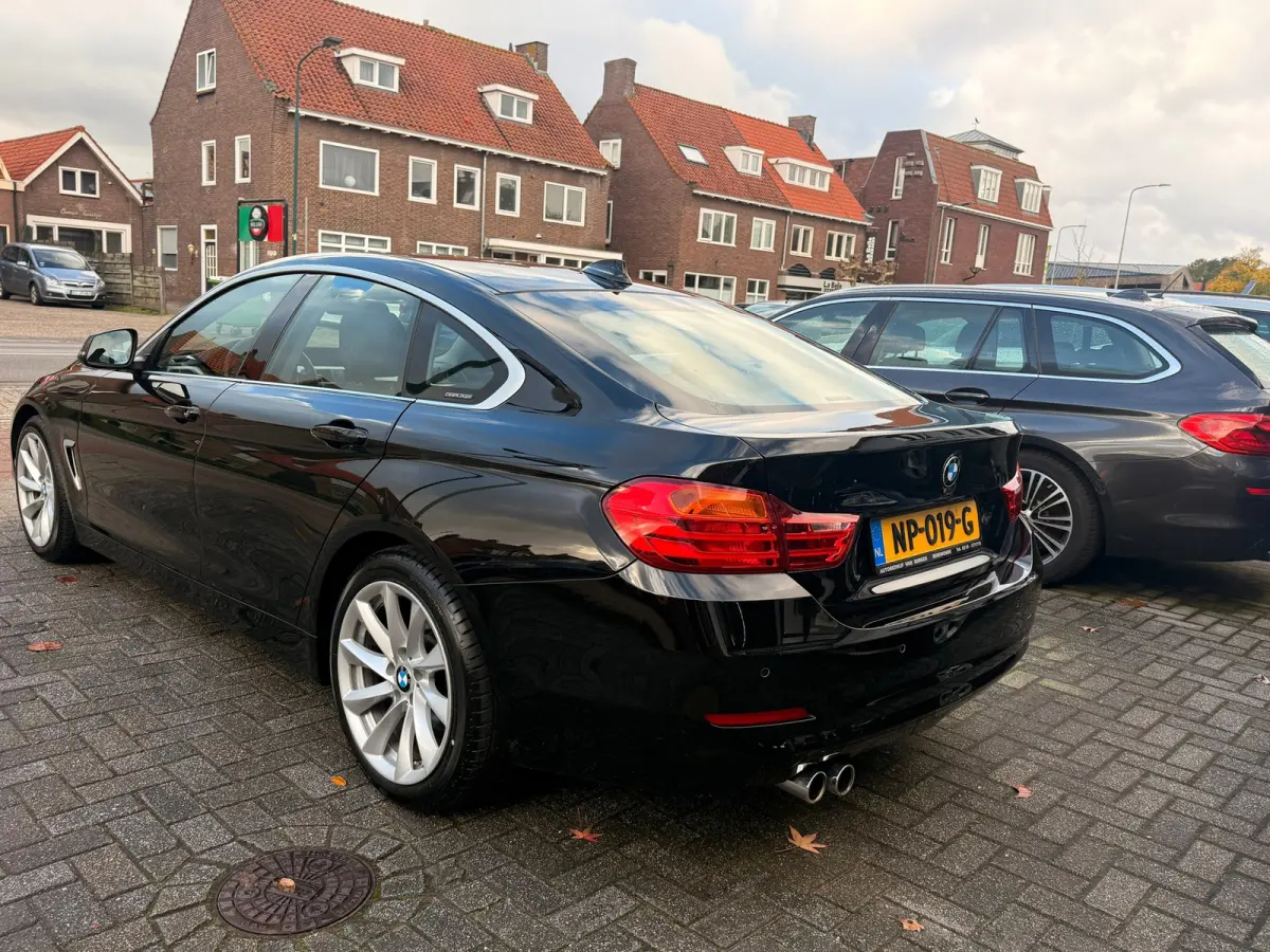 420i Centennial Executive,Trekhaak,L.M.Velgen,Navigatie,Climate control,/Cruise control