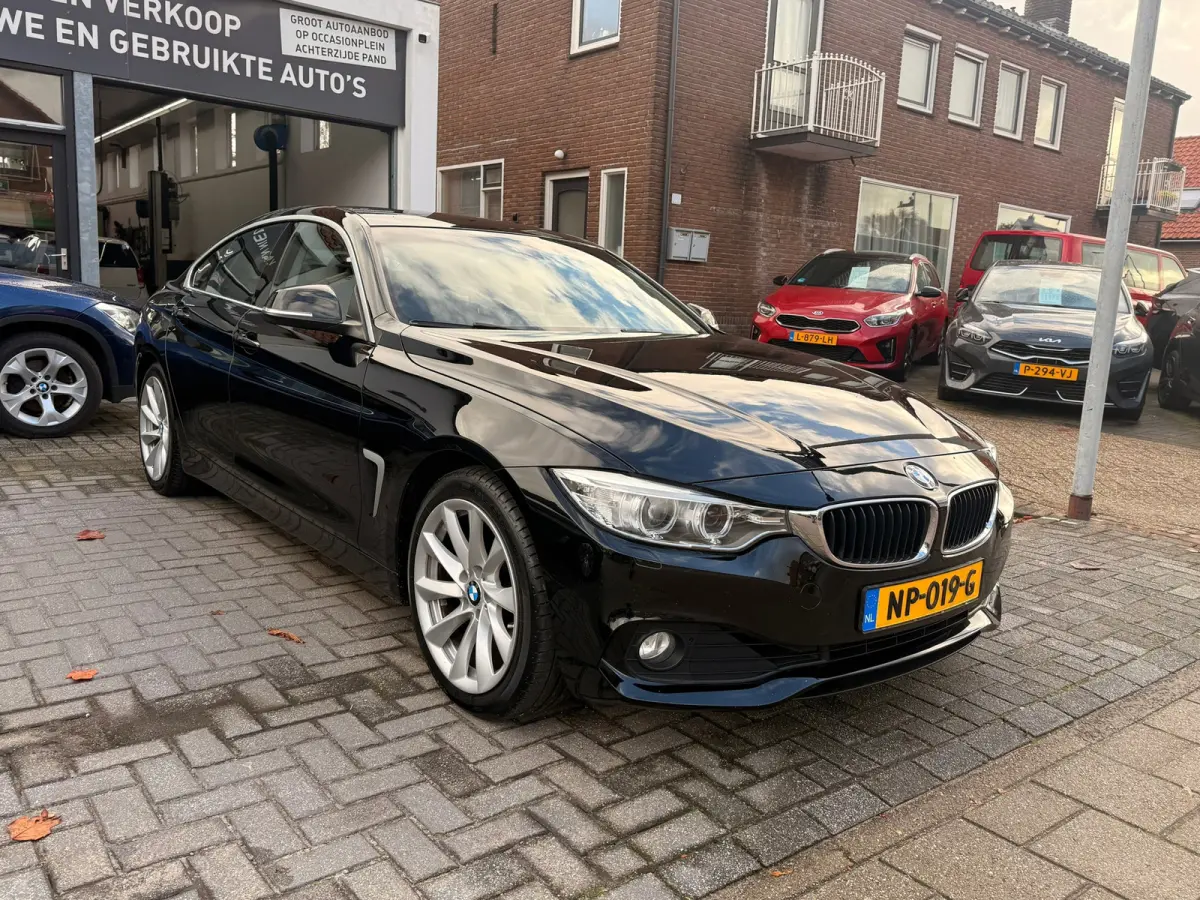 420i Centennial Executive,Trekhaak,L.M.Velgen,Navigatie,Climate control,/Cruise control