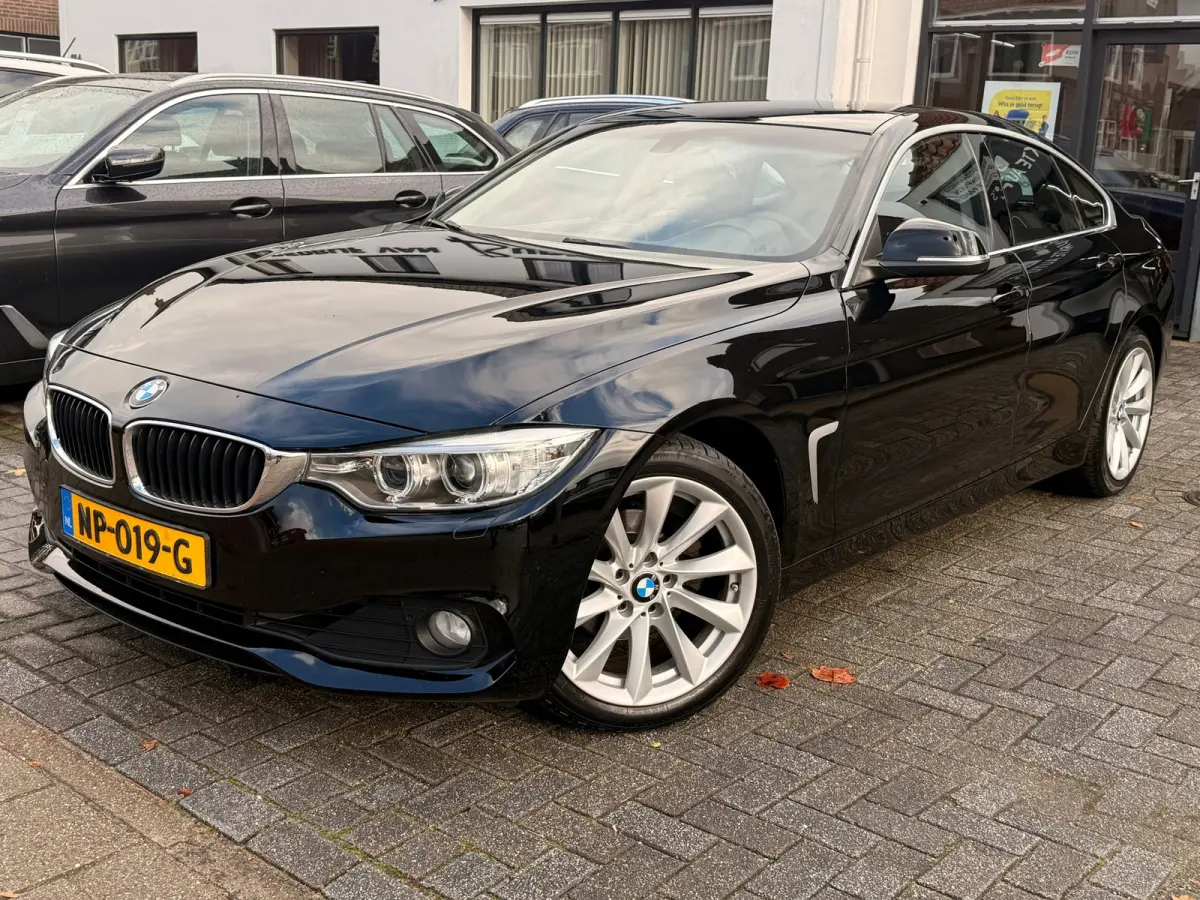 420i Centennial Executive,Trekhaak,L.M.Velgen,Navigatie,Climate control,/Cruise control