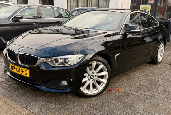 420i Centennial Executive,Trekhaak,L.M.Velgen,Navigatie,Climate control,/Cruise control