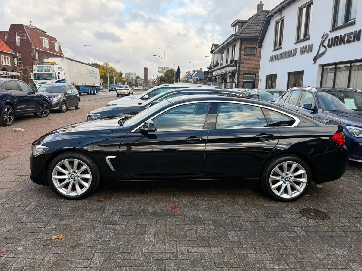420i Centennial Executive,Trekhaak,L.M.Velgen,Navigatie,Climate control,/Cruise control