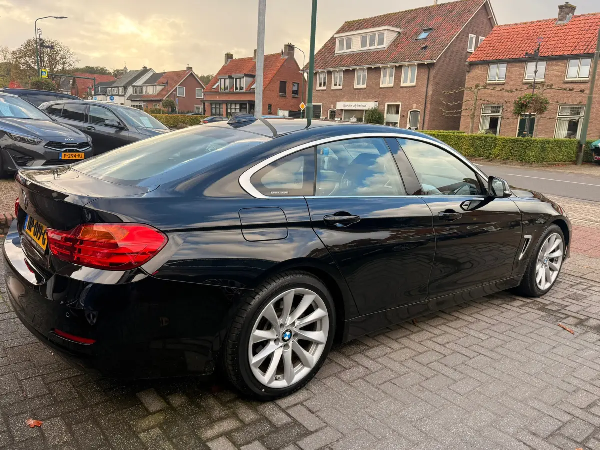 420i Centennial Executive,Trekhaak,L.M.Velgen,Navigatie,Climate control,/Cruise control