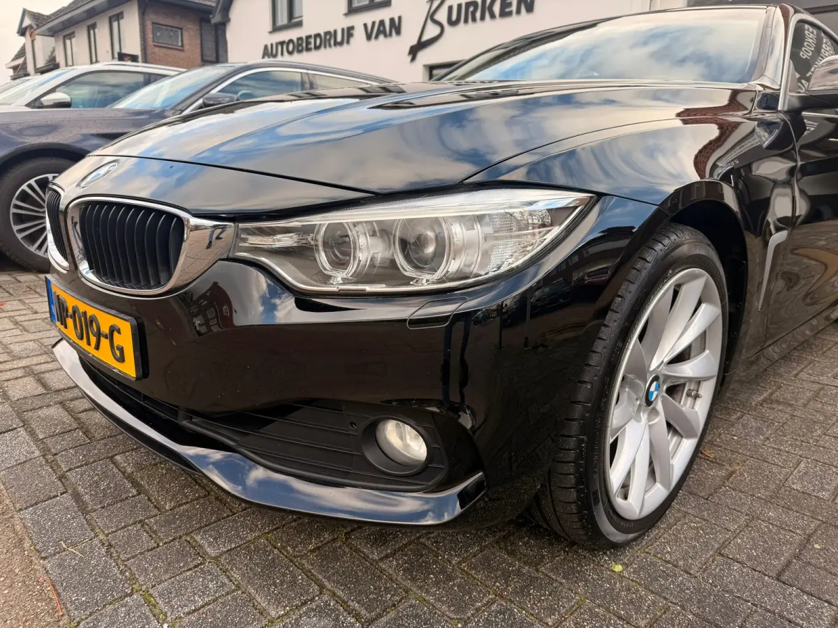 420i Centennial Executive,Trekhaak,L.M.Velgen,Navigatie,Climate control,/Cruise control