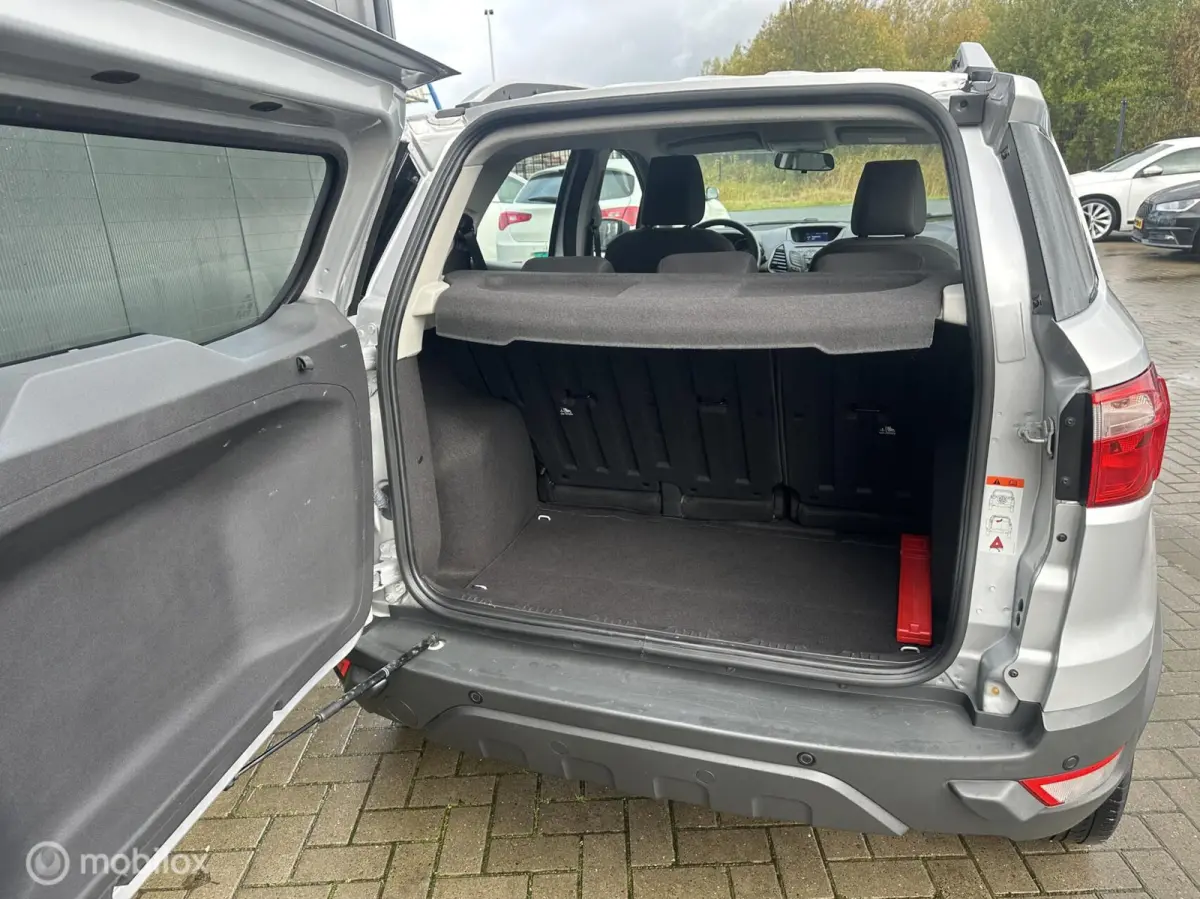 1.0 EcoBoost Titanium