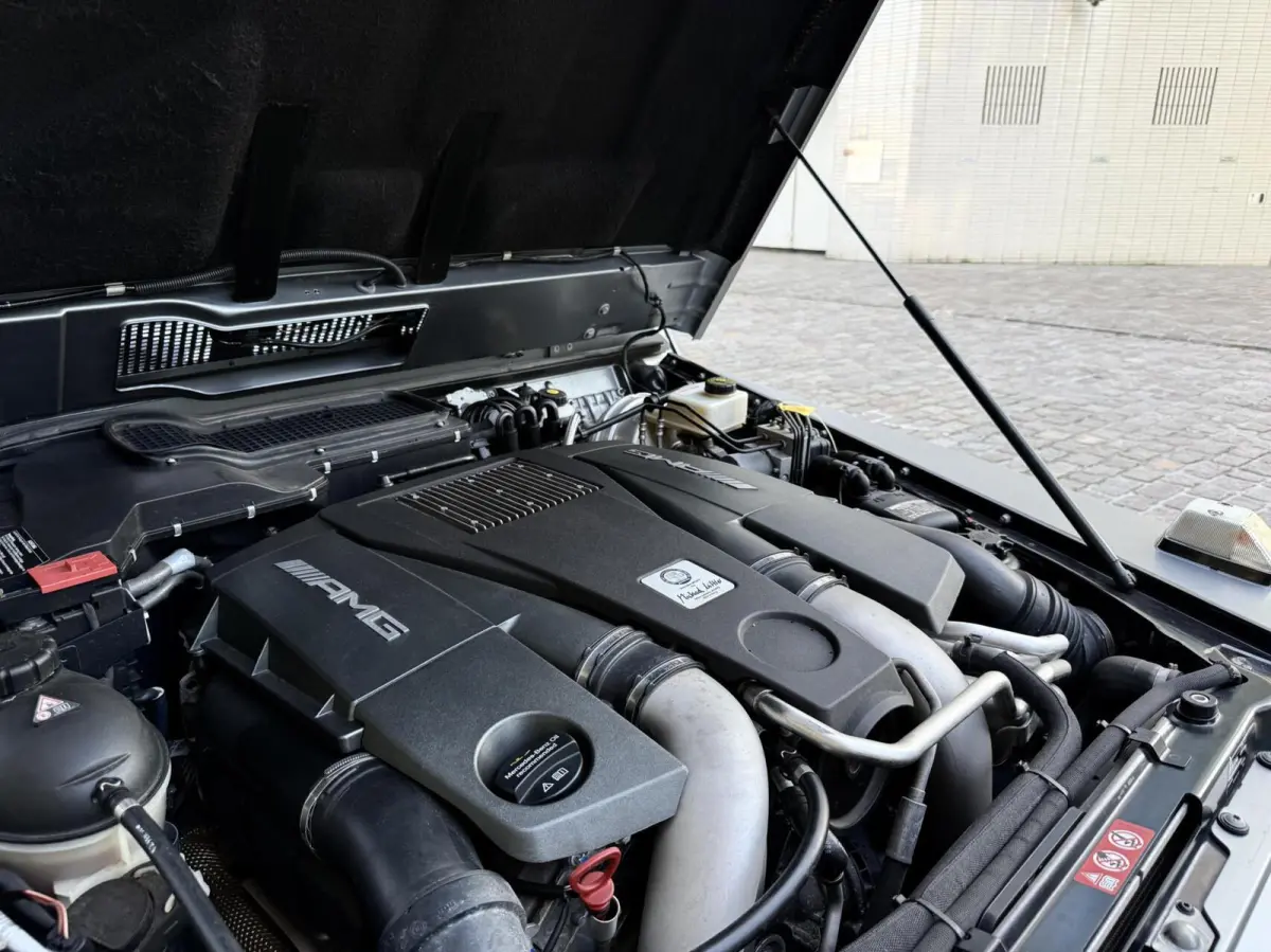 63 AMG Edition 463