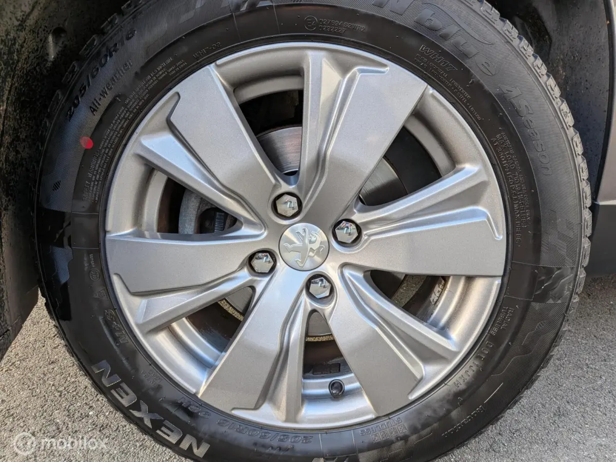 1.2 PureTech Blue Lion Panodak dealer onderhouden