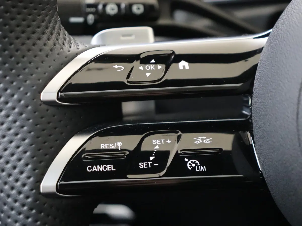 300 e Business Solution AMG /Panoramadak /Nightpakket /Winterpakket /Carplay