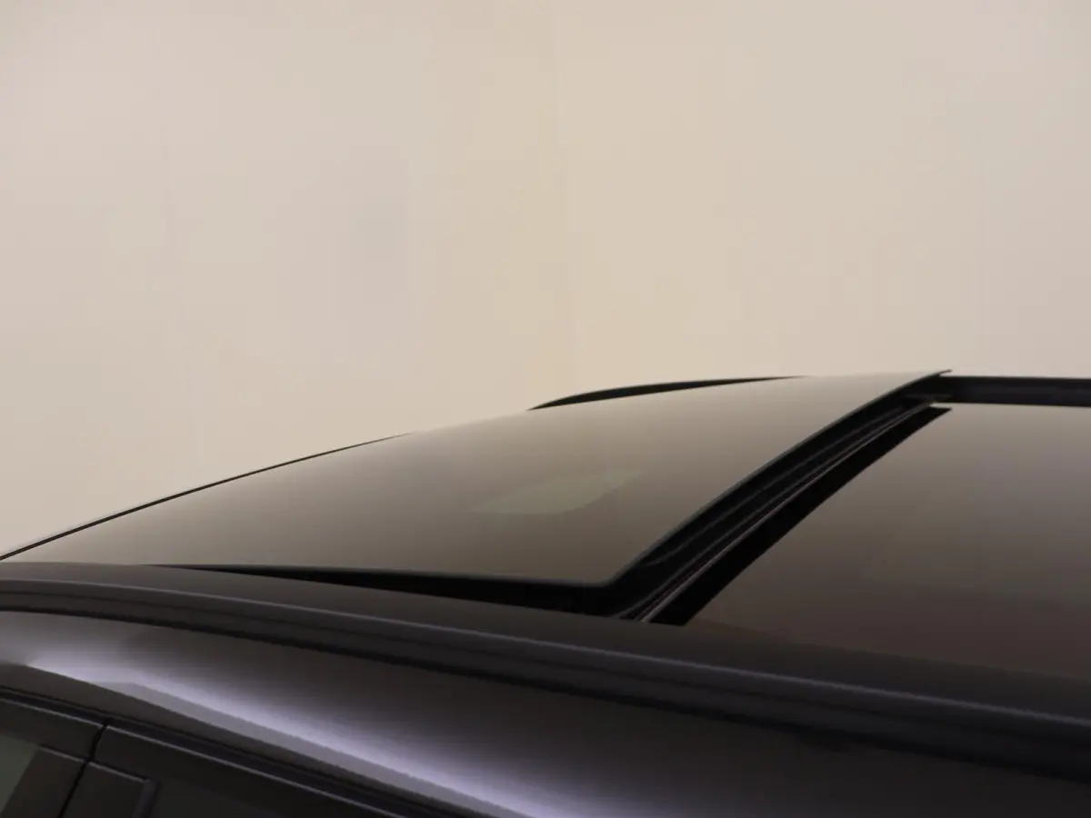 300 e Business Solution AMG /Panoramadak /Nightpakket /Winterpakket /Carplay