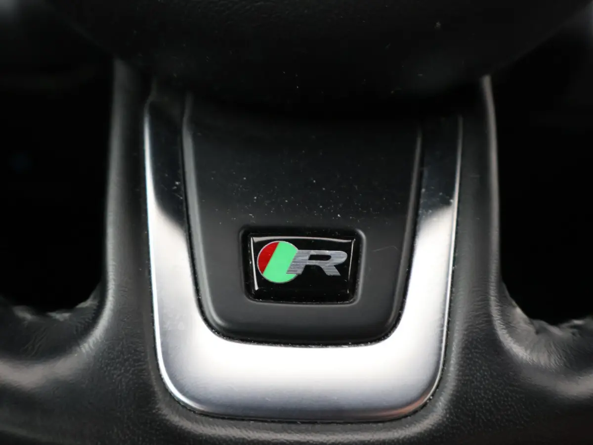 2.0 TURBO P250 AWD R-DYNAMIC SE + PANORAMA / LEDER / CAMERA