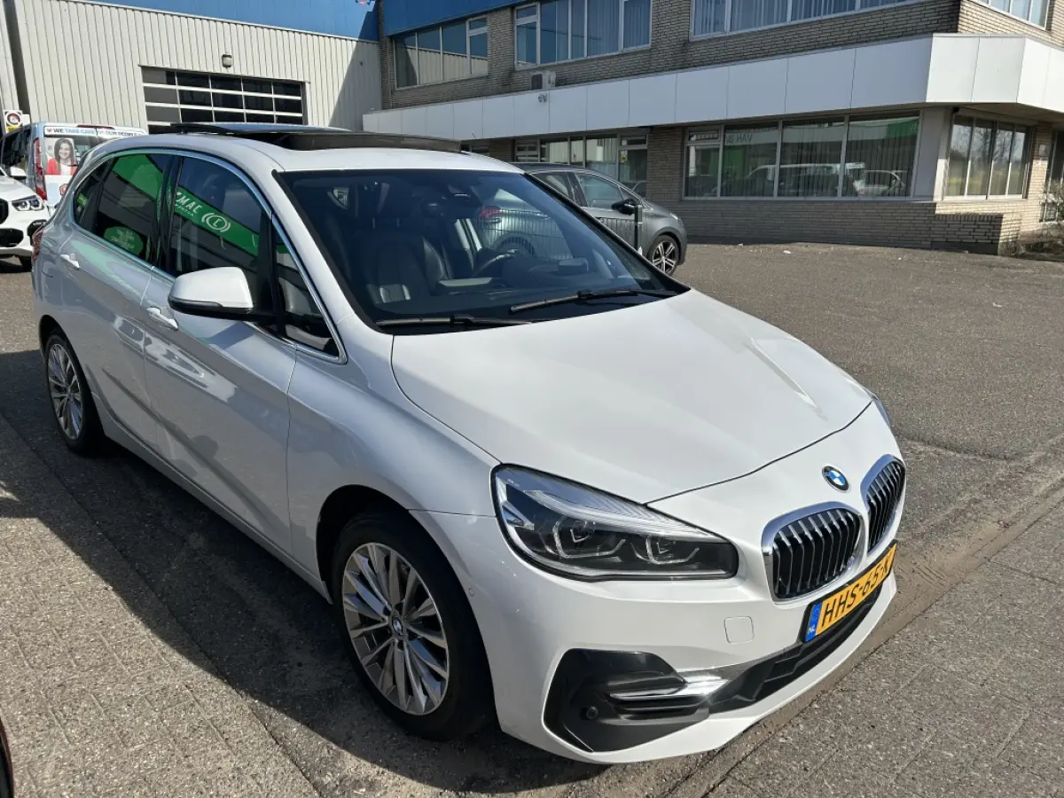 225xe iPerformance Hybride Panodak Leder