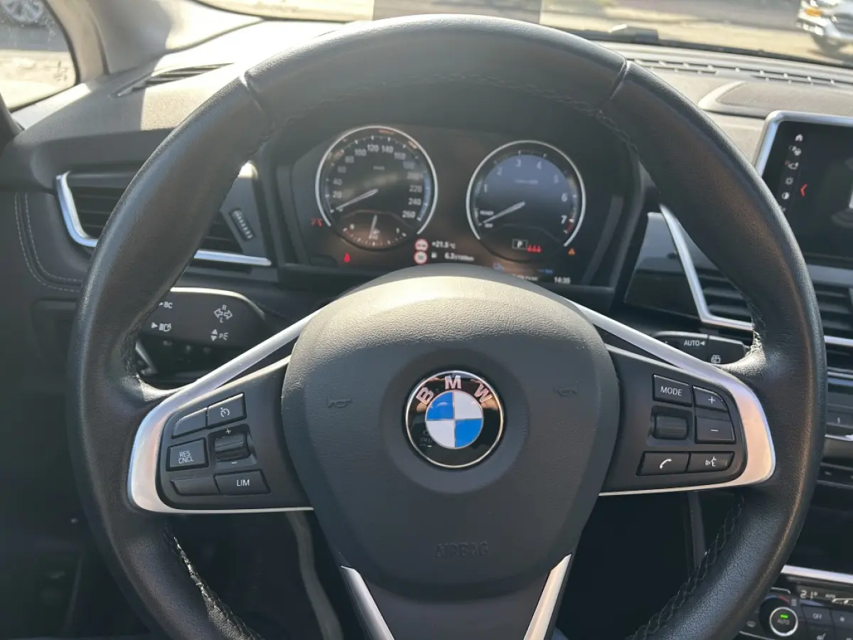 225xe iPerformance Hybride Panodak Leder