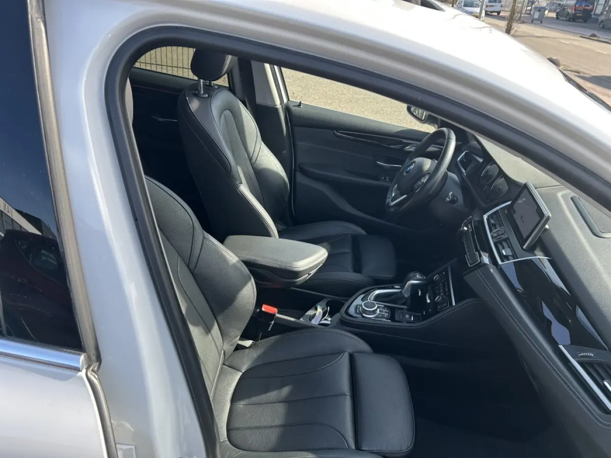225xe iPerformance Hybride Panodak Leder