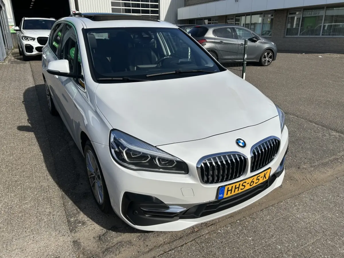 225xe iPerformance Hybride Panodak Leder