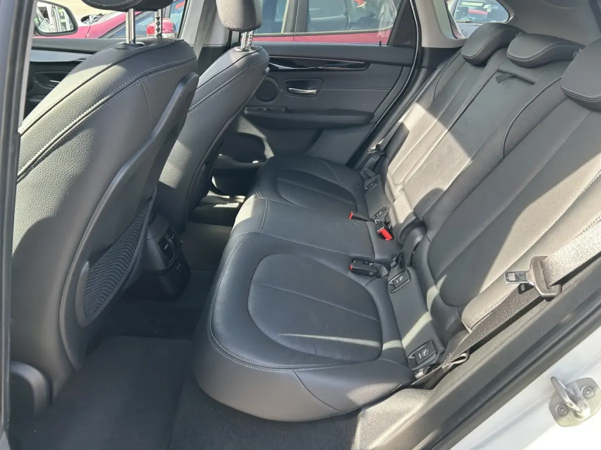 225xe iPerformance Hybride Panodak Leder
