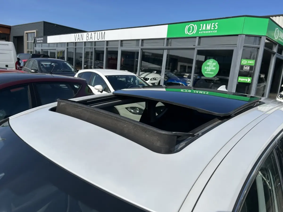 225xe iPerformance Hybride Panodak Leder