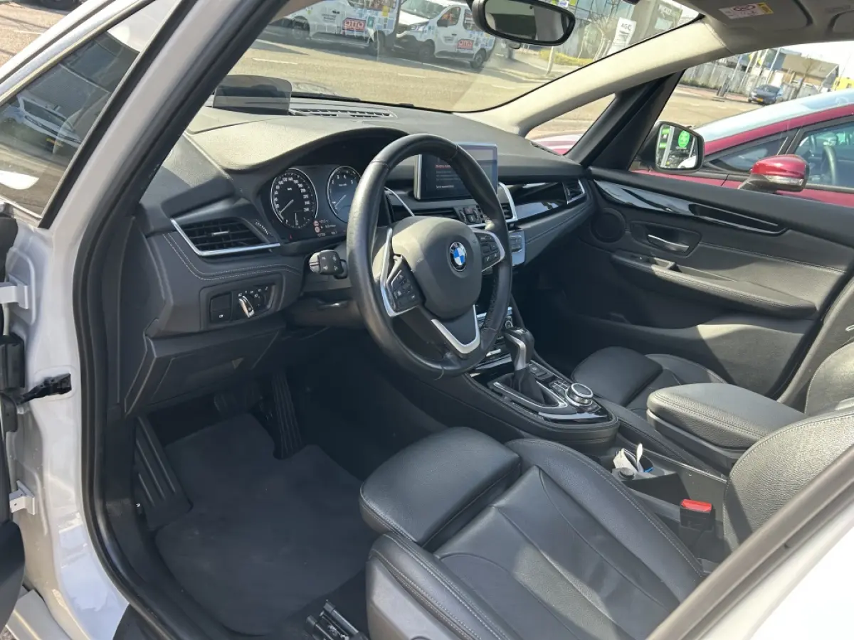 225xe iPerformance Hybride Panodak Leder