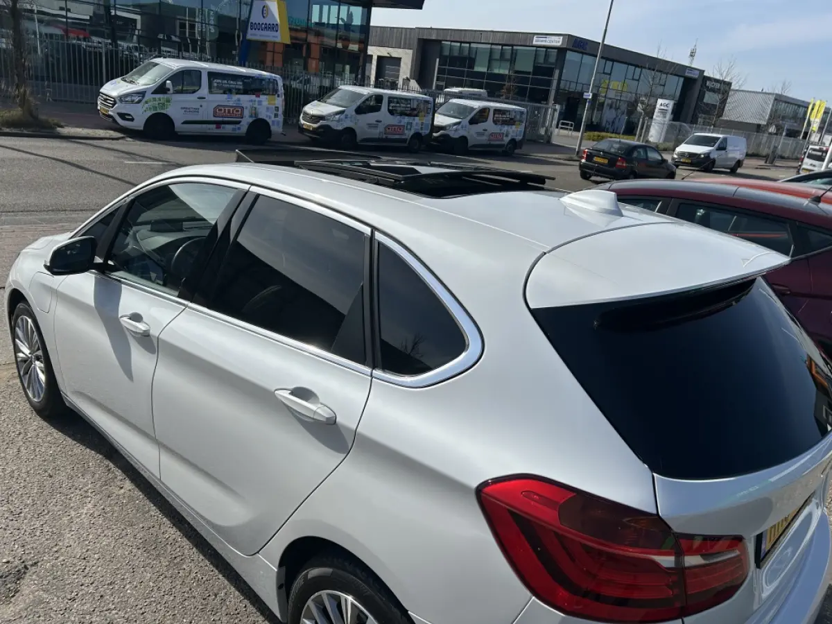 225xe iPerformance Hybride Panodak Leder
