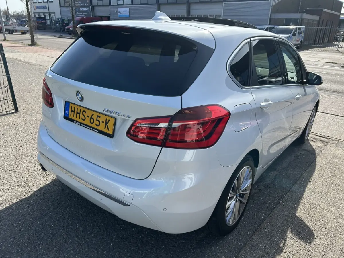 225xe iPerformance Hybride Panodak Leder