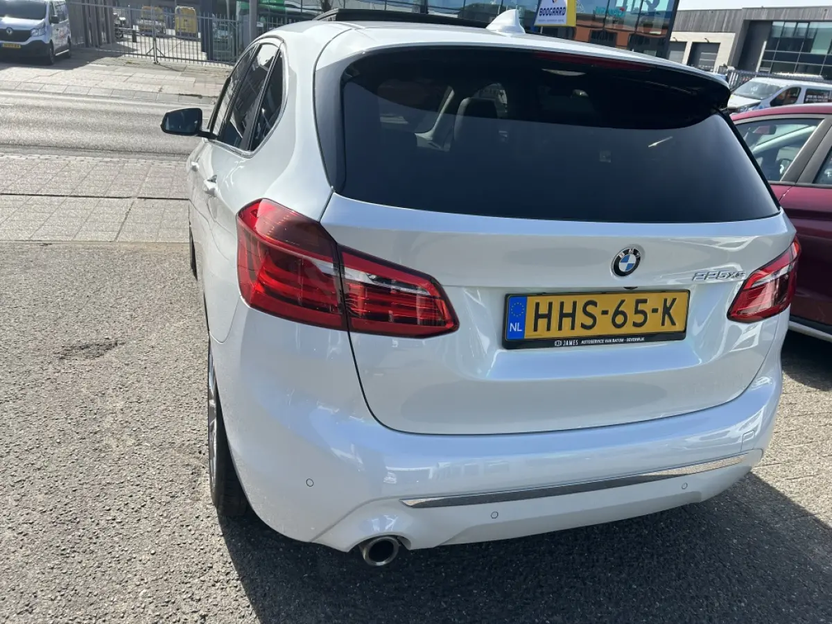 225xe iPerformance Hybride Panodak Leder