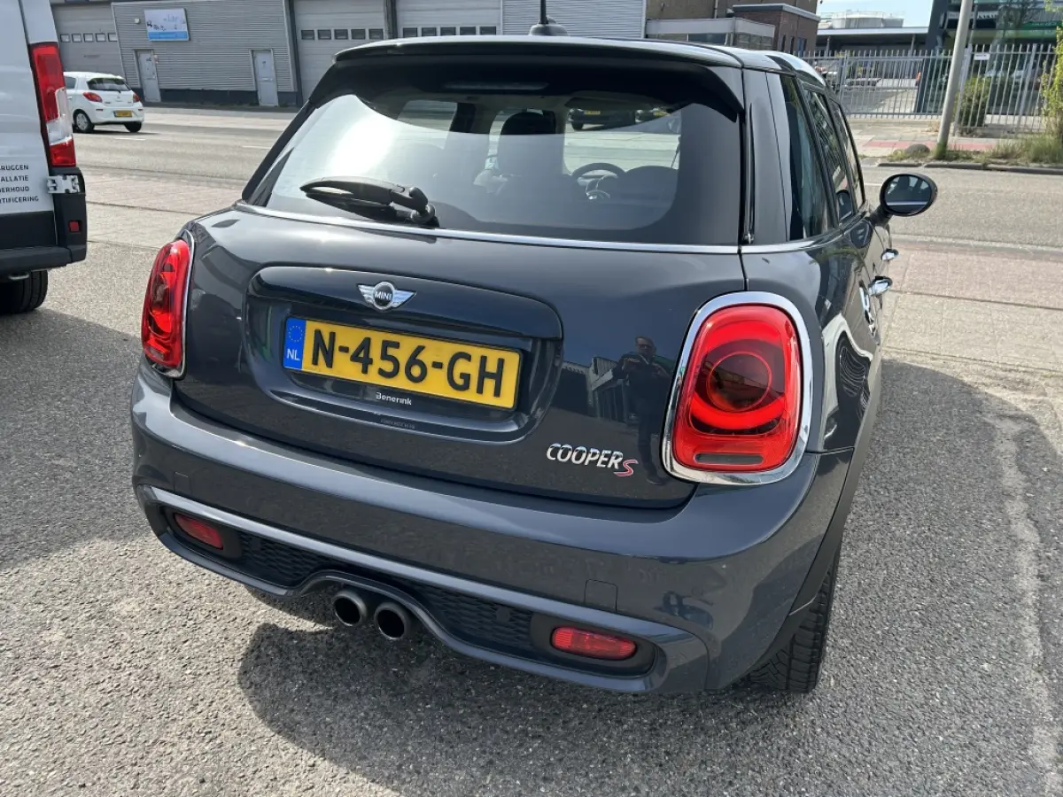 Mini 2.0 S Pepper Serious Business