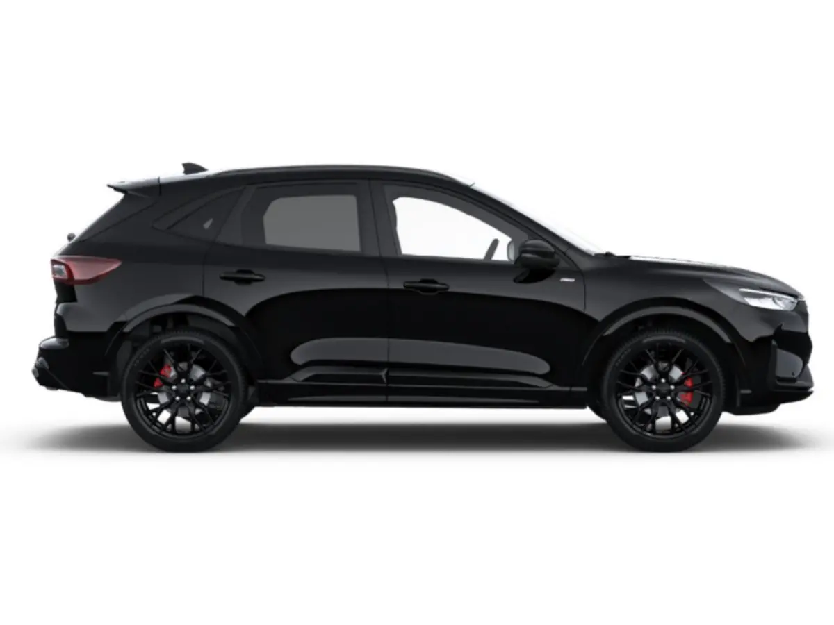 2.5 PHEV ST-Line X | Airco (automatisch) | Apple Carplay/Android Auto|telefoonintegratie premium | Audio installatie premium