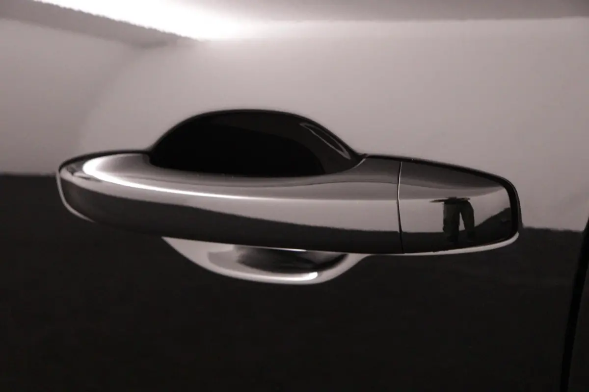 1.6 HEV Instyle | 360° Camera | Adaptive Cruise Control | Apple Carplay/Android Auto | BOSE Audio | Climate Control | Navigatie | Stoel- en Stuurverwarming