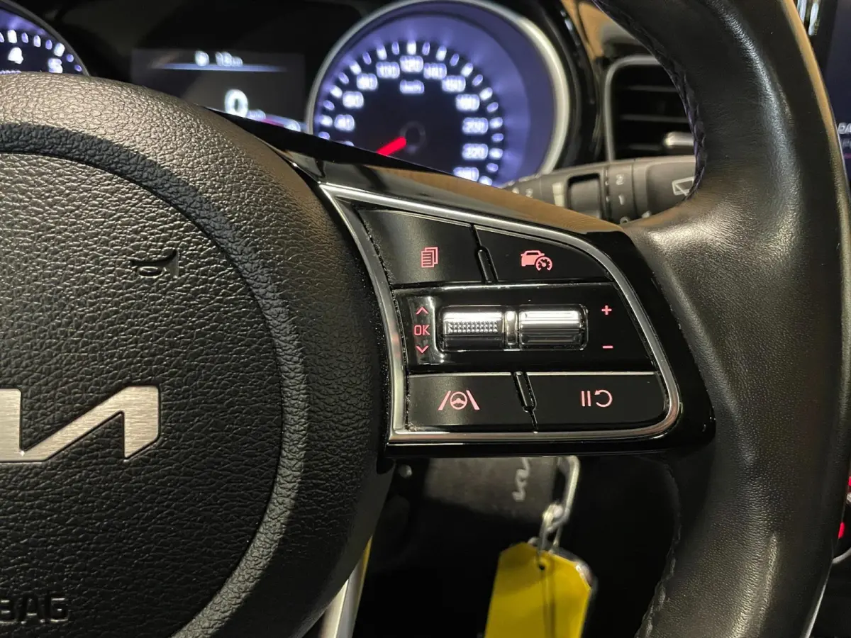 1.5 T-GDi DynamicLine|160PK|ANDROID/CARPLAY|CAMERA|CRUISE|CLIMATE|STOEL-,STUURVERW.|LANE-ASSIST|NAVI|INCL.BTW|1e EIG.|